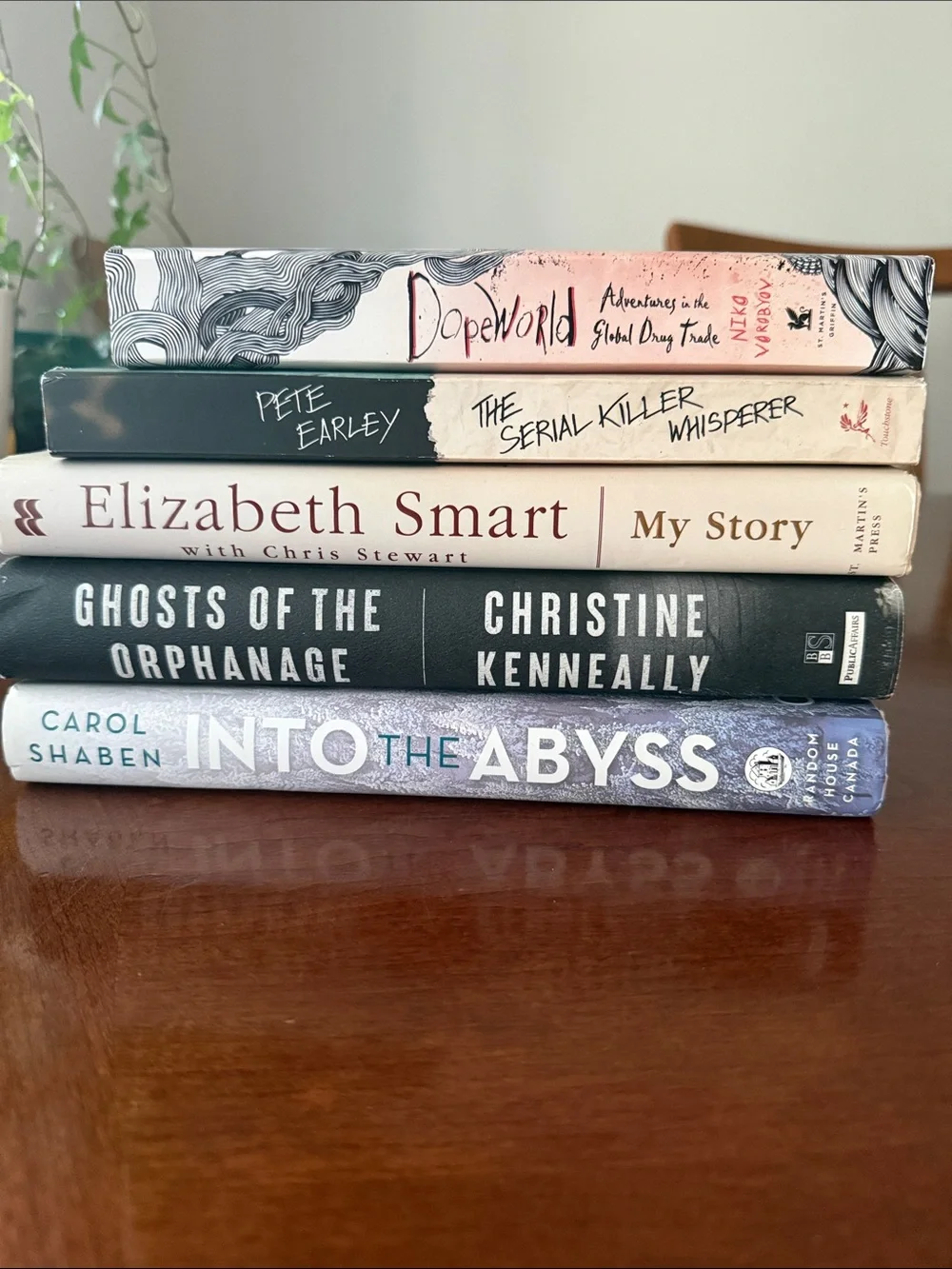 MEDIUM Blind Book Mystery Box : Blind Date With a Book